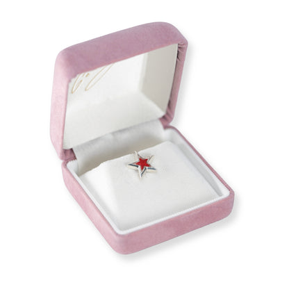 Mini   Star   Brooch   (Silver   925)